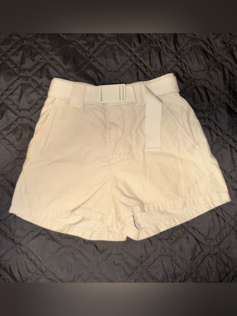 TNA / Aritzia Belted Cargo Shorts size Small
